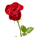 Azizul Alam profile picture